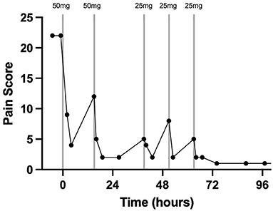 Cervical Epidural Spinal Analgesia for Acute Management of Severe Unilateral Forelimb Lameness: Case Report